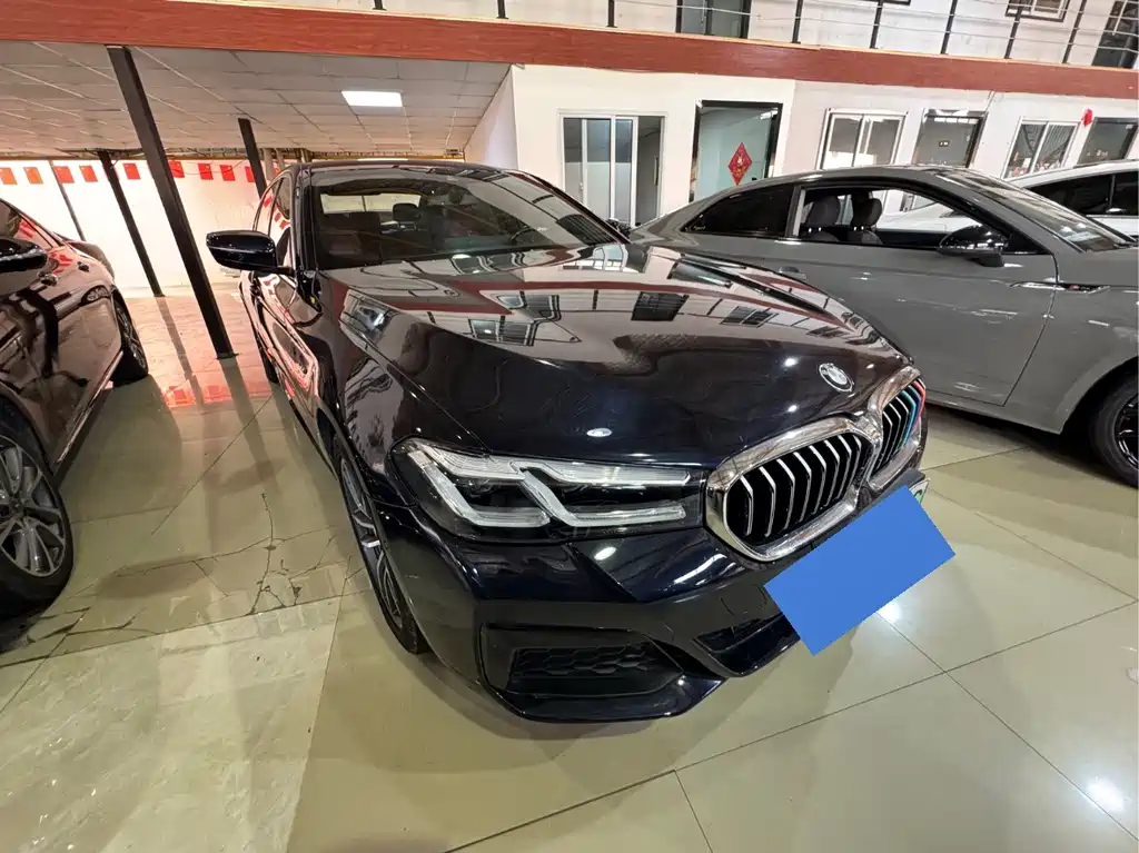 BMW 5 Series New Energy — миниатюра 3
