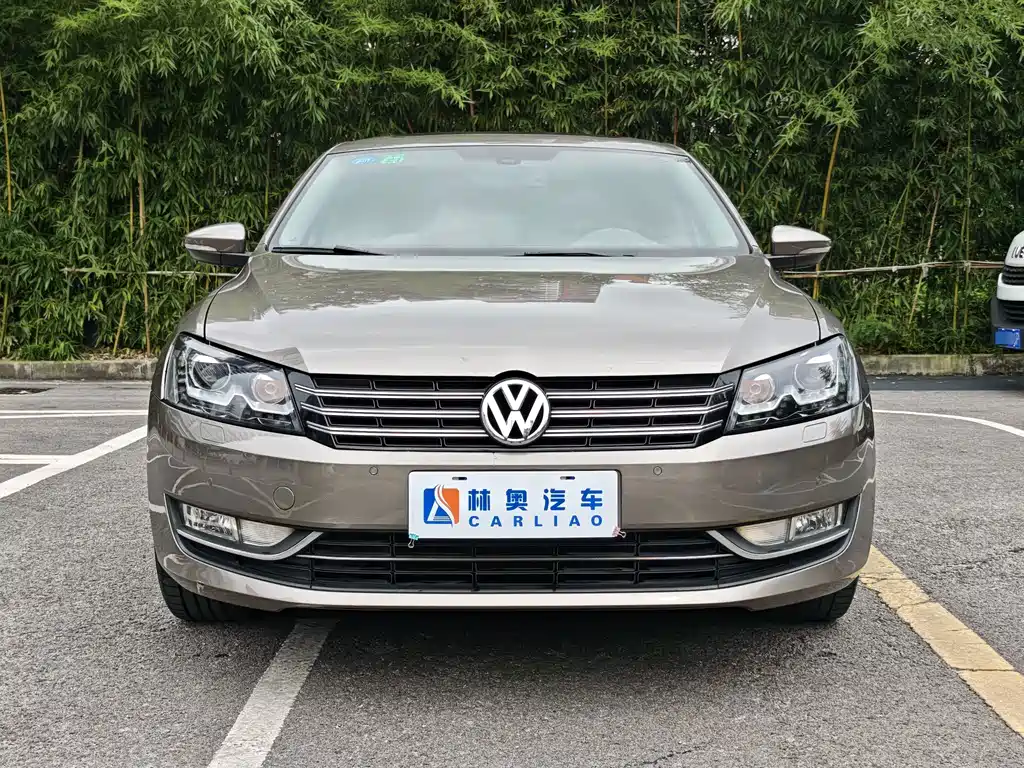 Volkswagen Passat — миниатюра 2