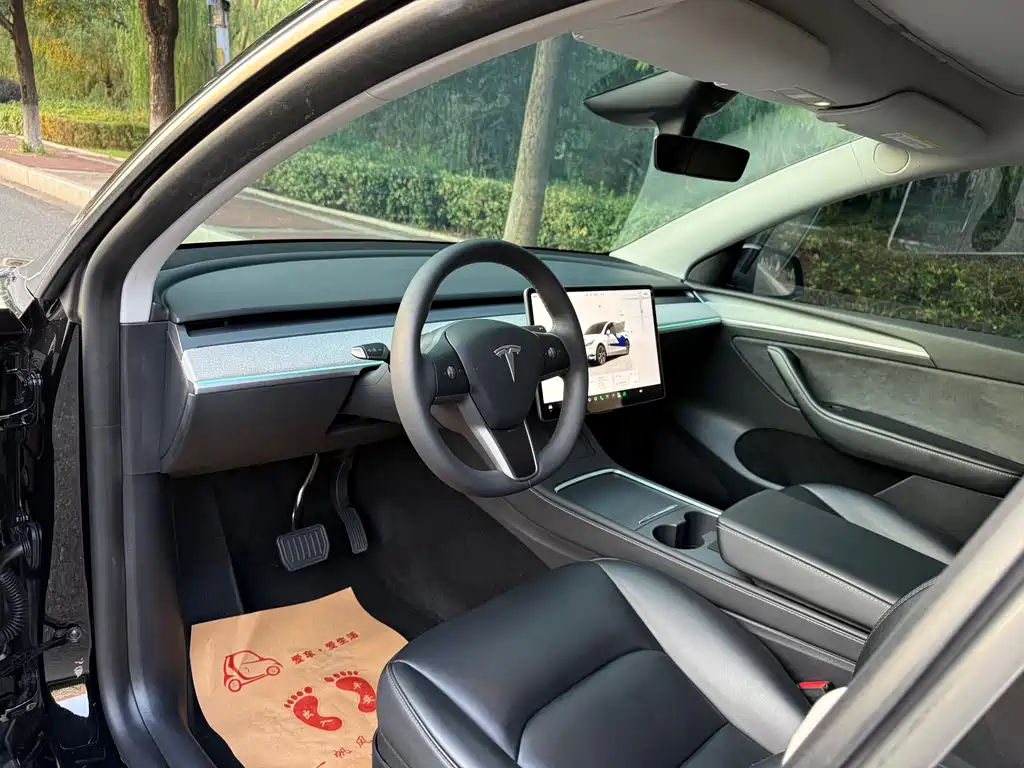 Tesla Model Y — миниатюра 10