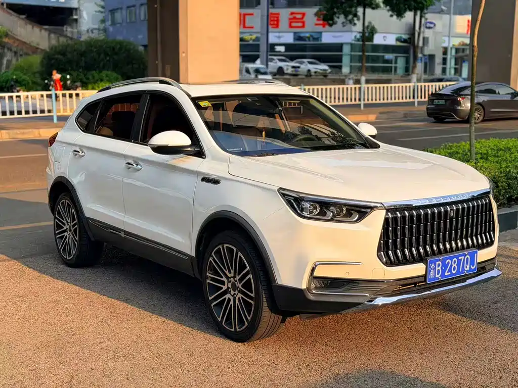 Leopaard Mattu — миниатюра 3
