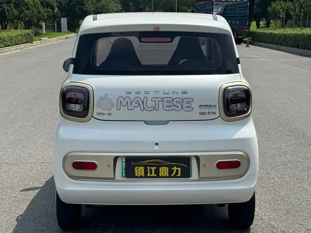 Bestune Pony — миниатюра 11