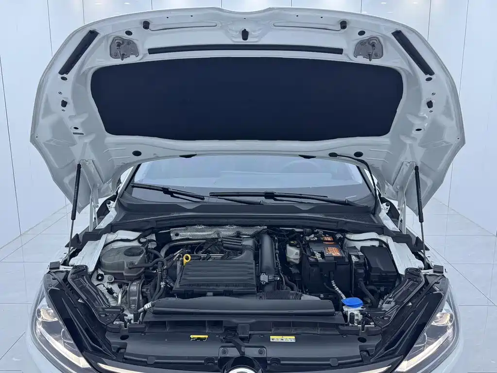 Volkswagen Lamando — миниатюра 15