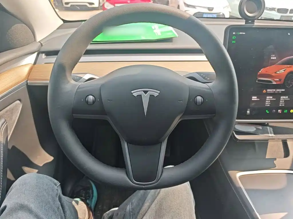 Tesla Model Y — миниатюра 11