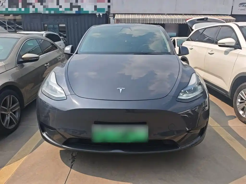 Tesla Model Y — миниатюра 3
