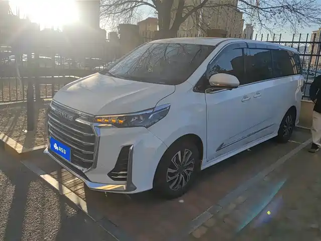 SAIC MAXUS CHASE G20