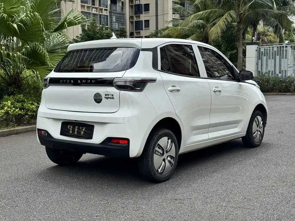 Lei Ding Leiding Mango — миниатюра 9