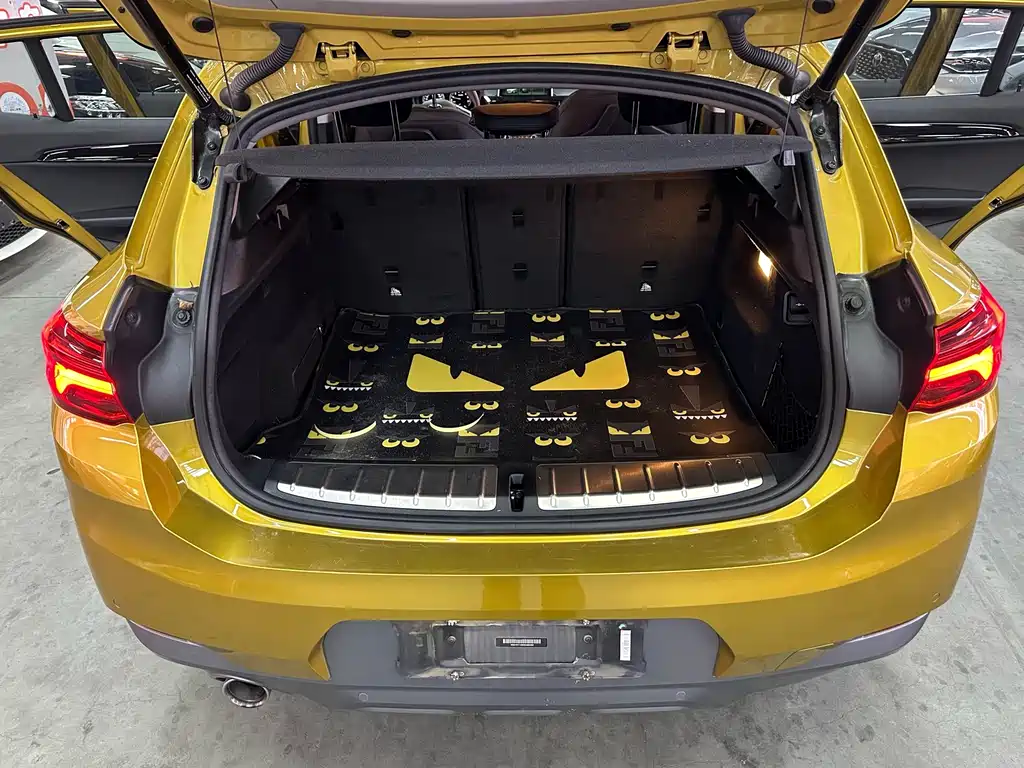 BMW X2 (Import) — миниатюра 16