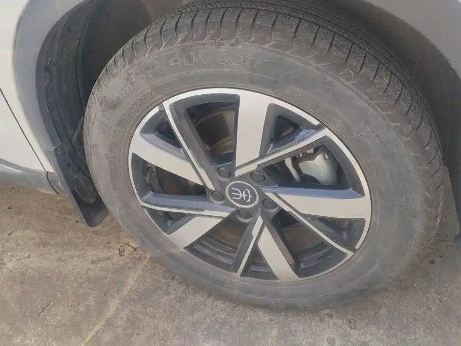 BYD Pro New Energy — миниатюра 6