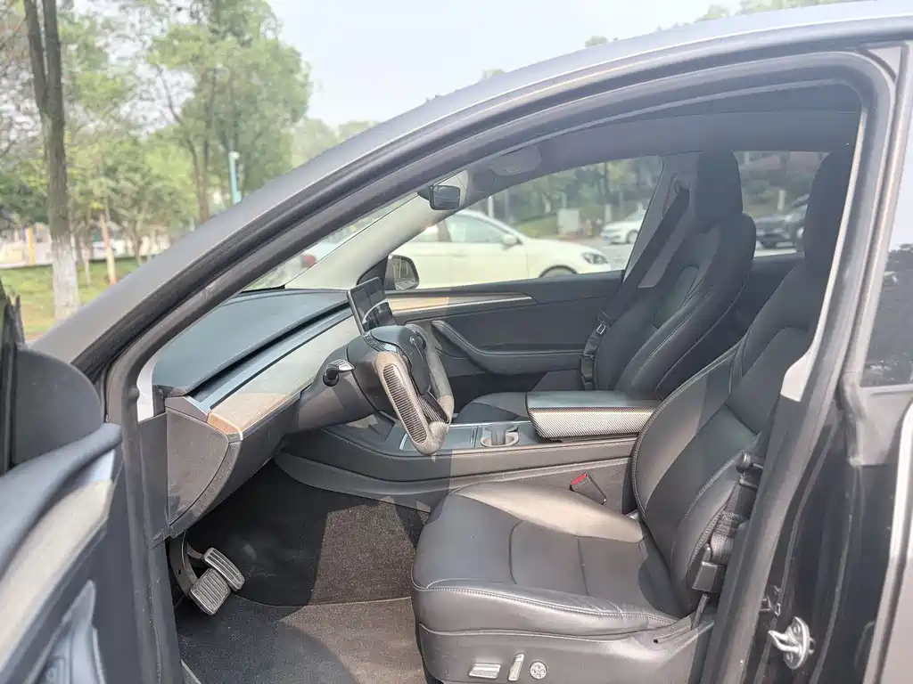 Tesla Model Y — миниатюра 8