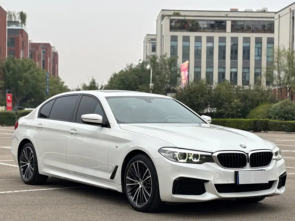 BMW 5 Series — миниатюра 3