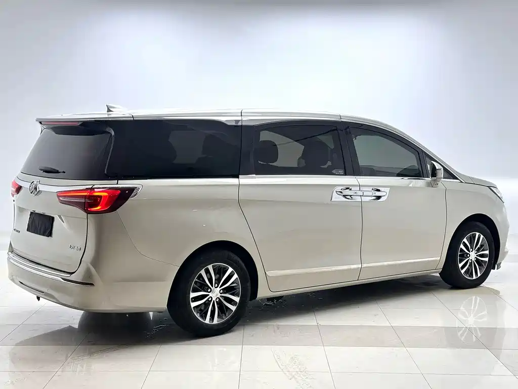 Buick GL8 — миниатюра 16