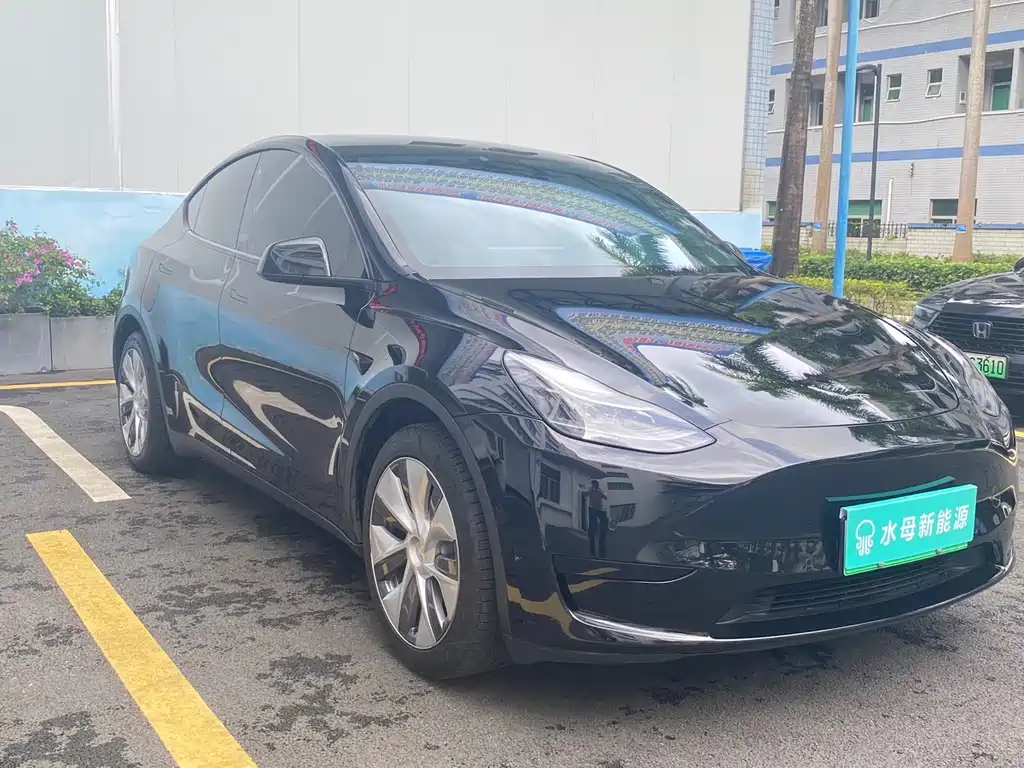 Tesla Model Y — миниатюра 3