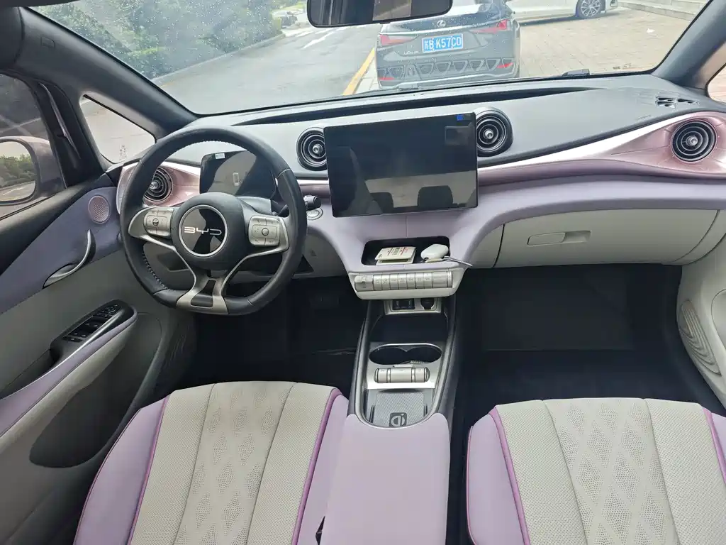 BYD Dolphin — миниатюра 5
