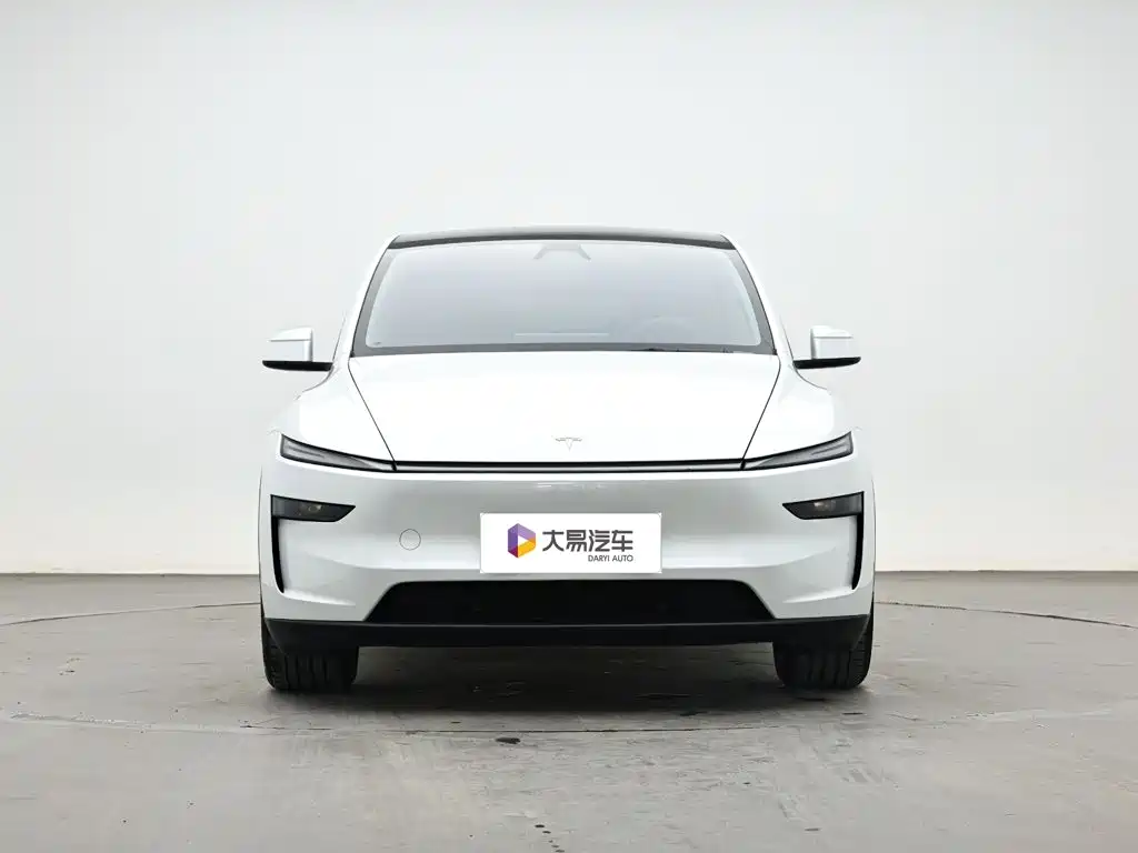 Tesla Model Y — миниатюра 2