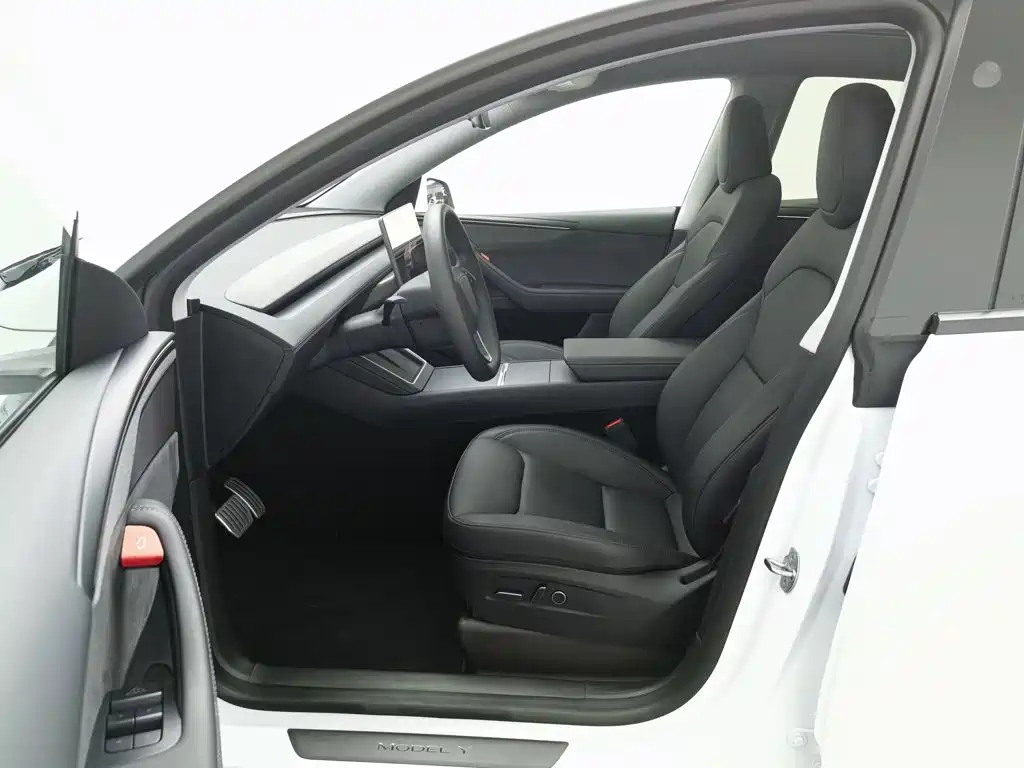 Tesla Model Y — миниатюра 10