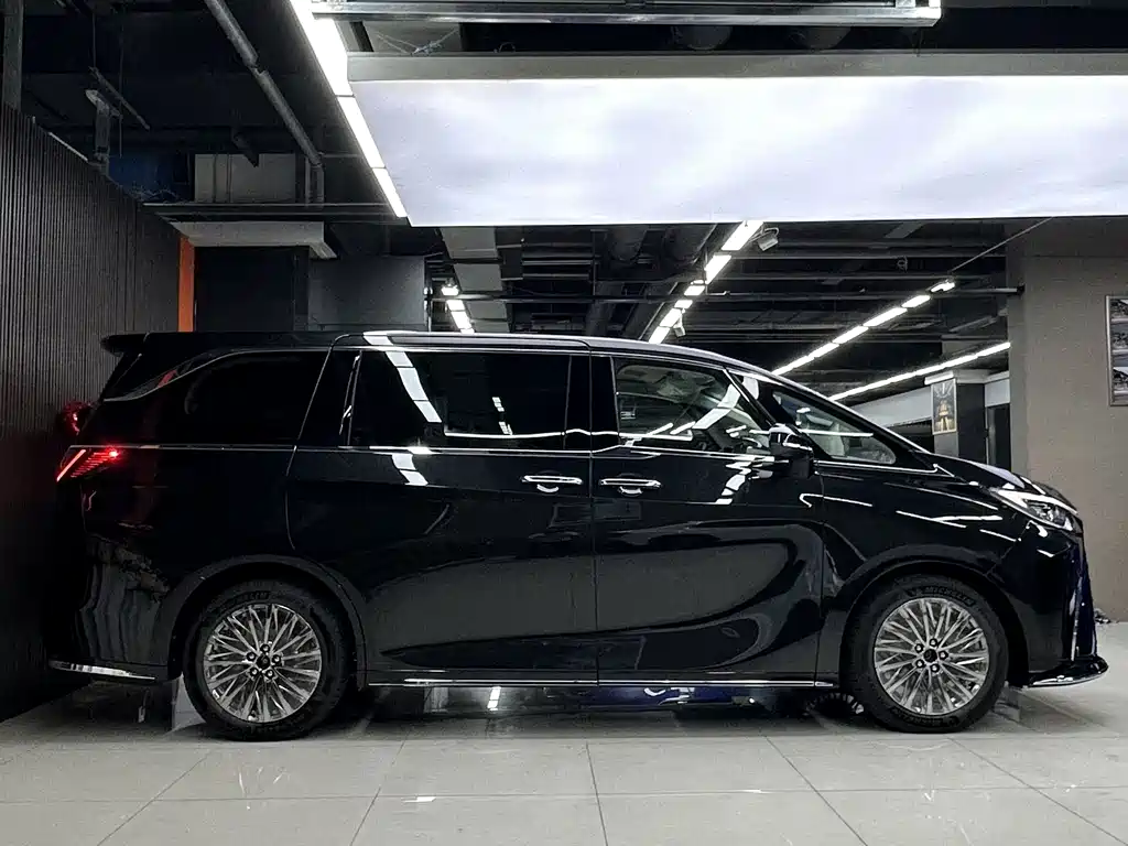Lexus LM 2025 500h мест