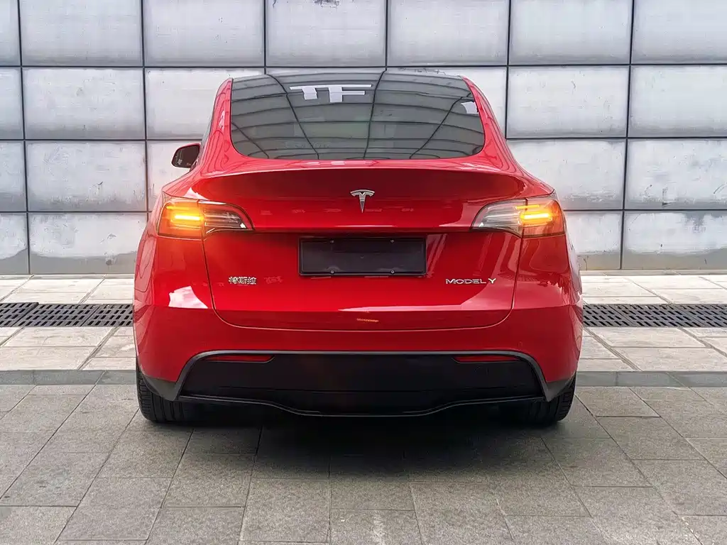 Tesla Model Y — миниатюра 9