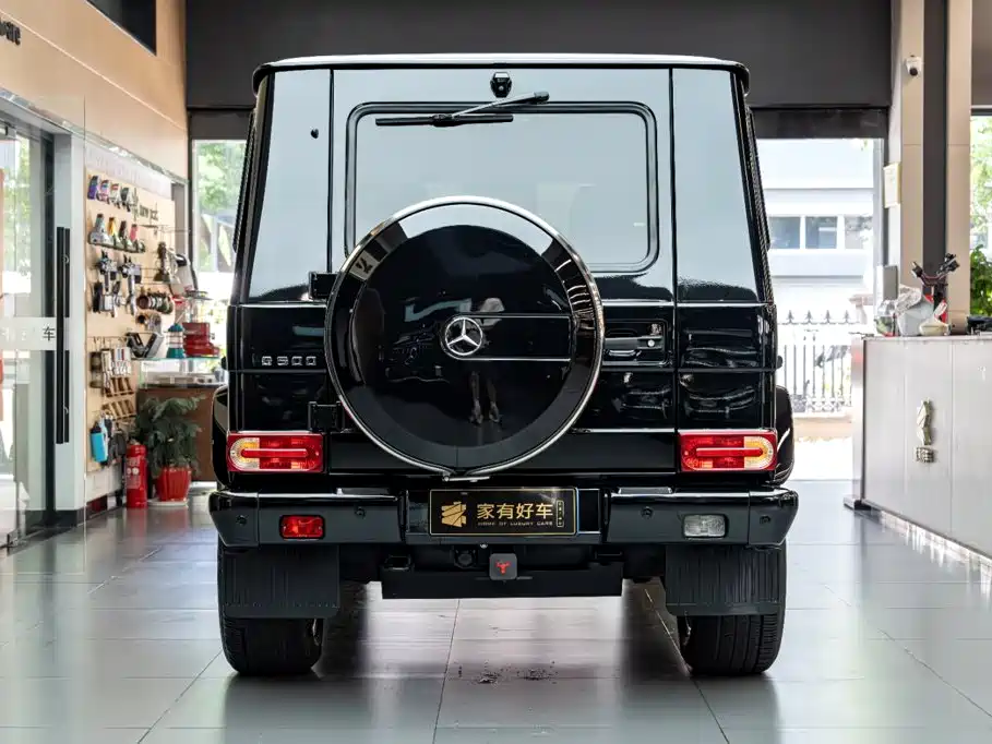 Mercedes-Benz G-Class — миниатюра 5