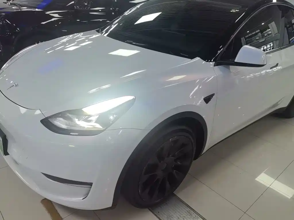Tesla Model Y — миниатюра 2