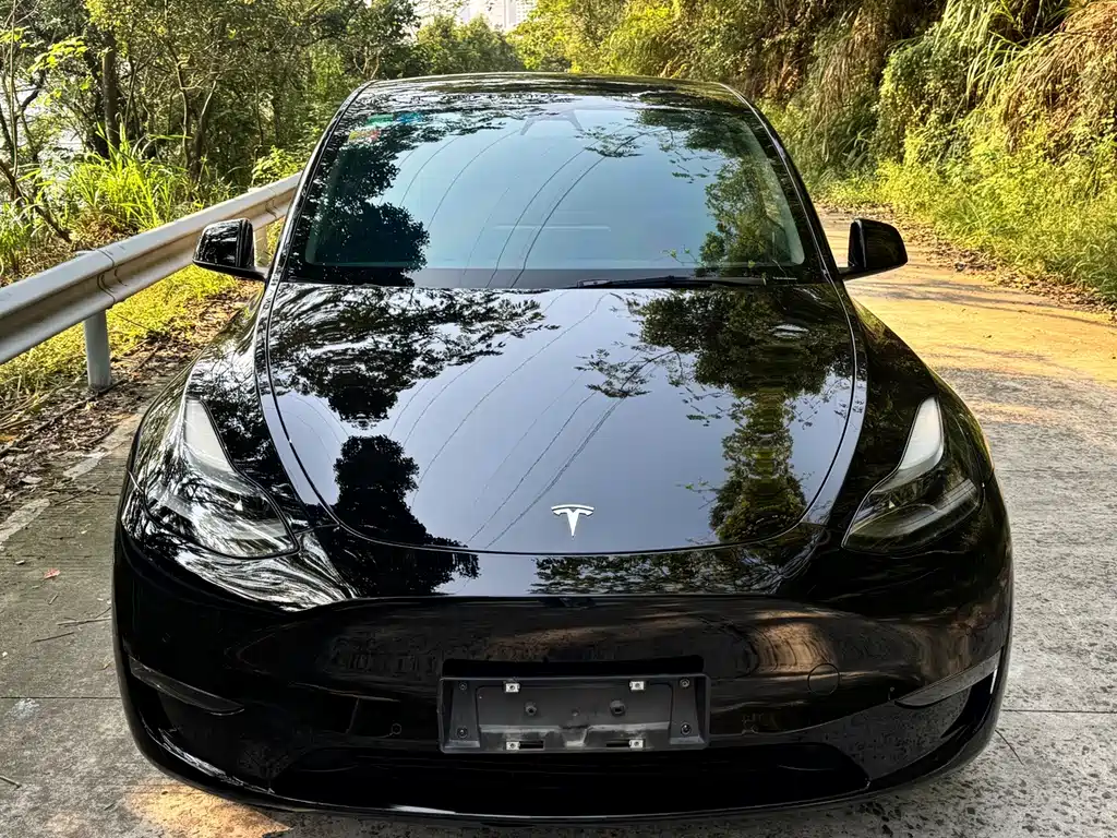 Tesla Model Y — миниатюра 2