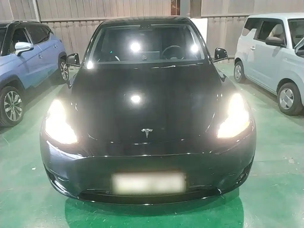 Tesla Model Y — миниатюра 3