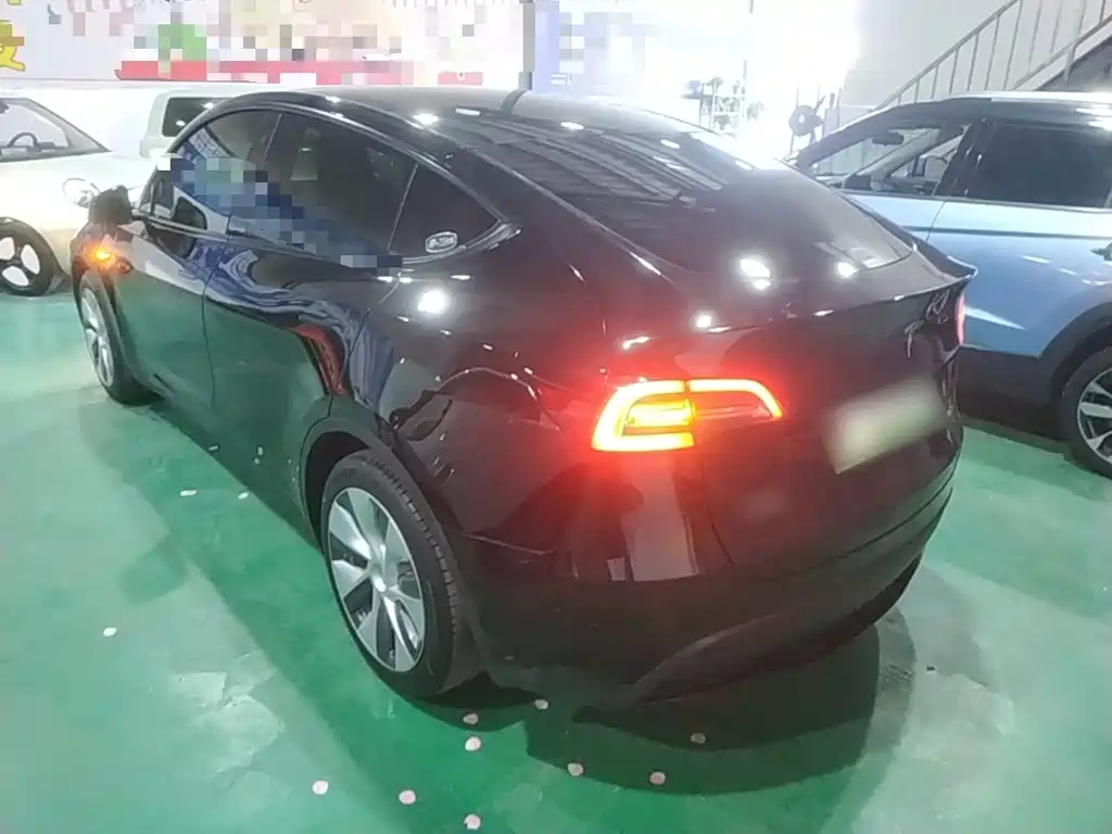 Tesla Model Y — миниатюра 5