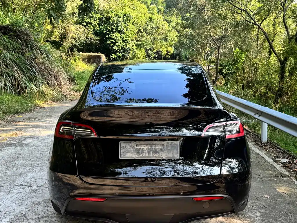 Tesla Model Y — миниатюра 4