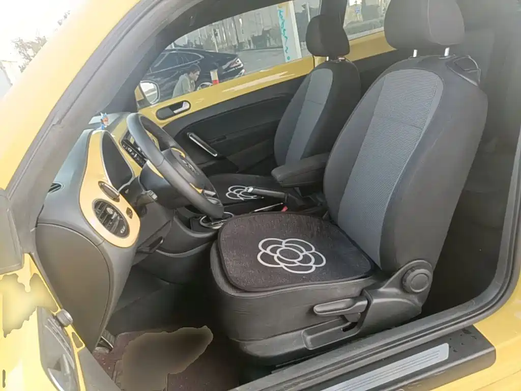 Volkswagen Beetle — миниатюра 15