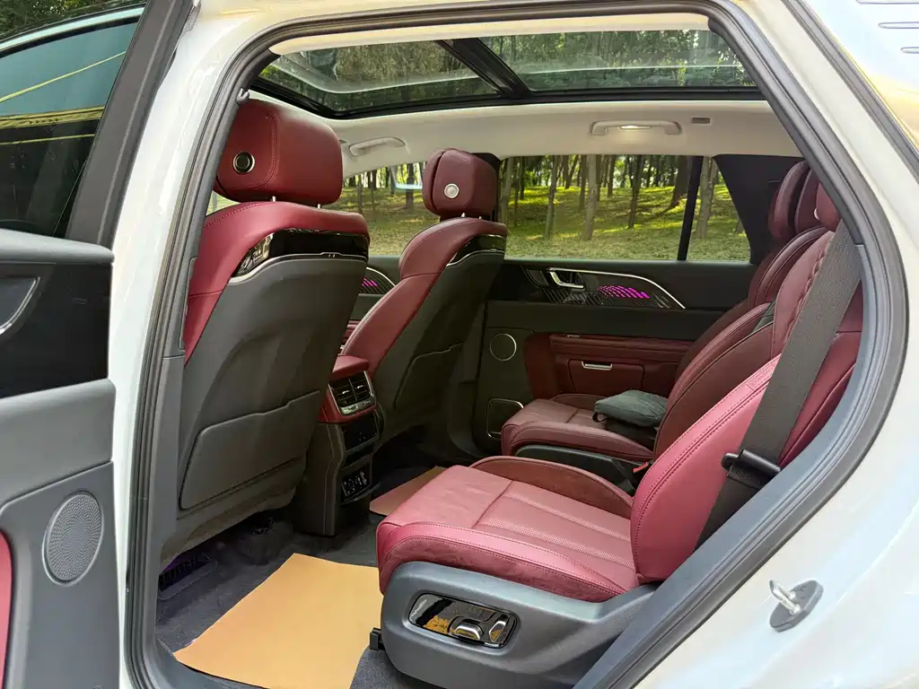Hongqi Hongqi E-HS9 — миниатюра 4