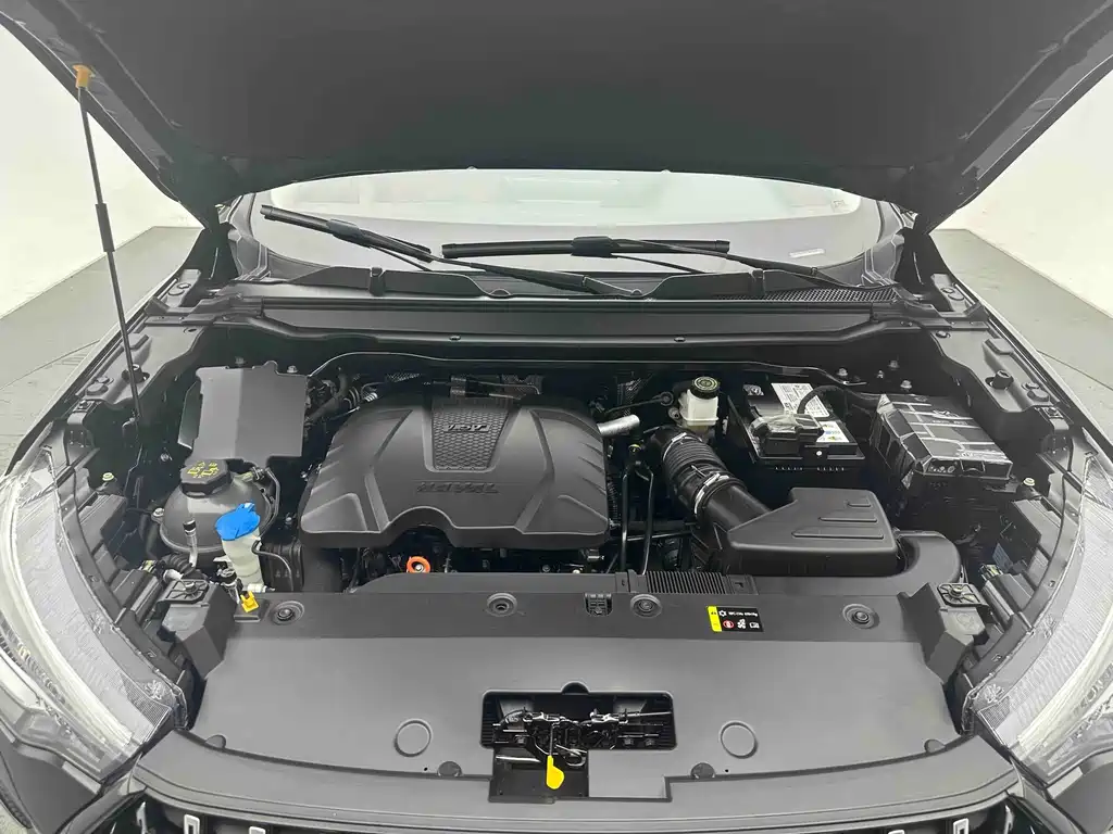 Haval Chitu — миниатюра 20
