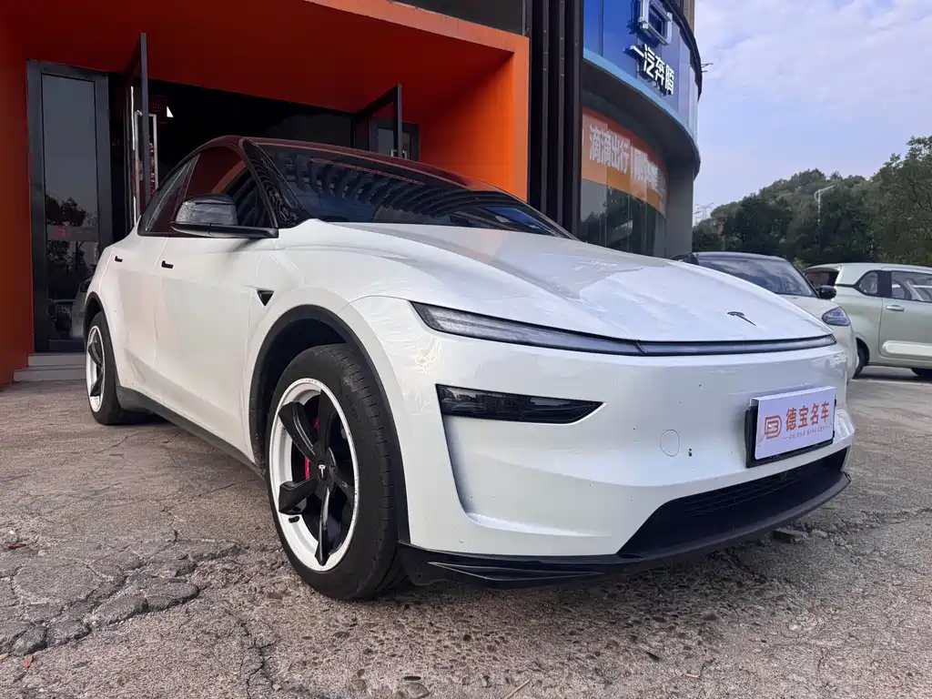 Tesla Model Y — миниатюра 3