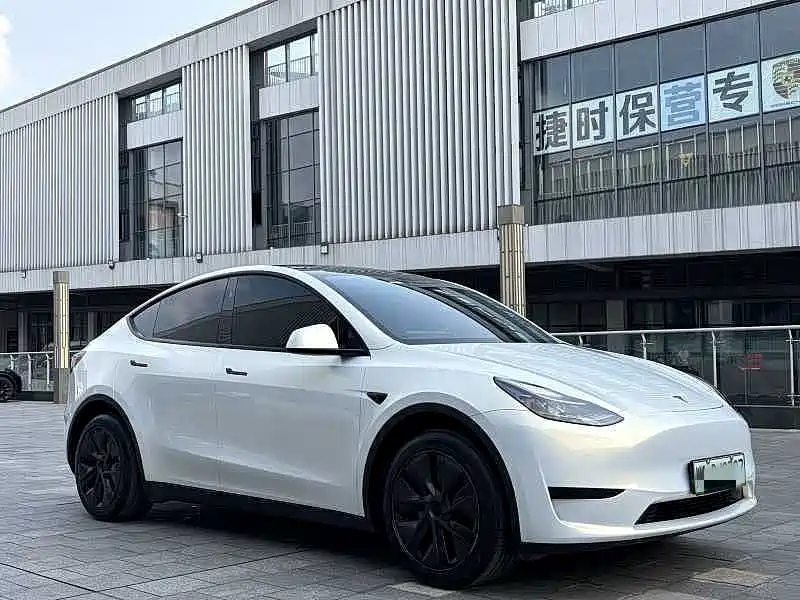 Tesla Model Y — миниатюра 3