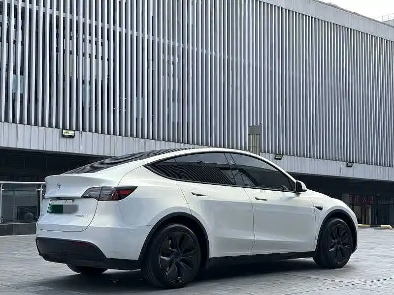 Tesla Model Y — миниатюра 8