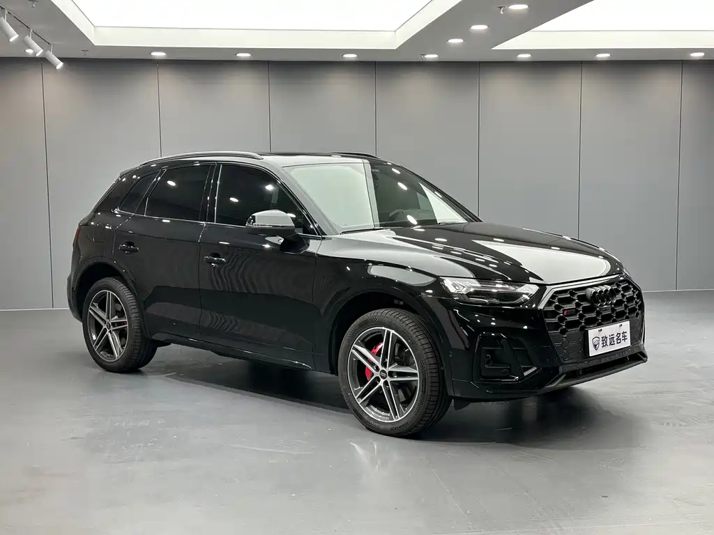Audi SQ5 — миниатюра 3