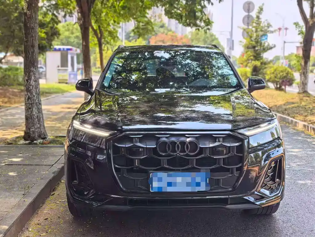 Audi Q7 — миниатюра 2