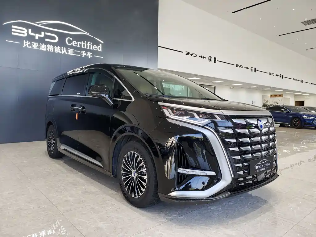 Denza Denza D9 — миниатюра 3