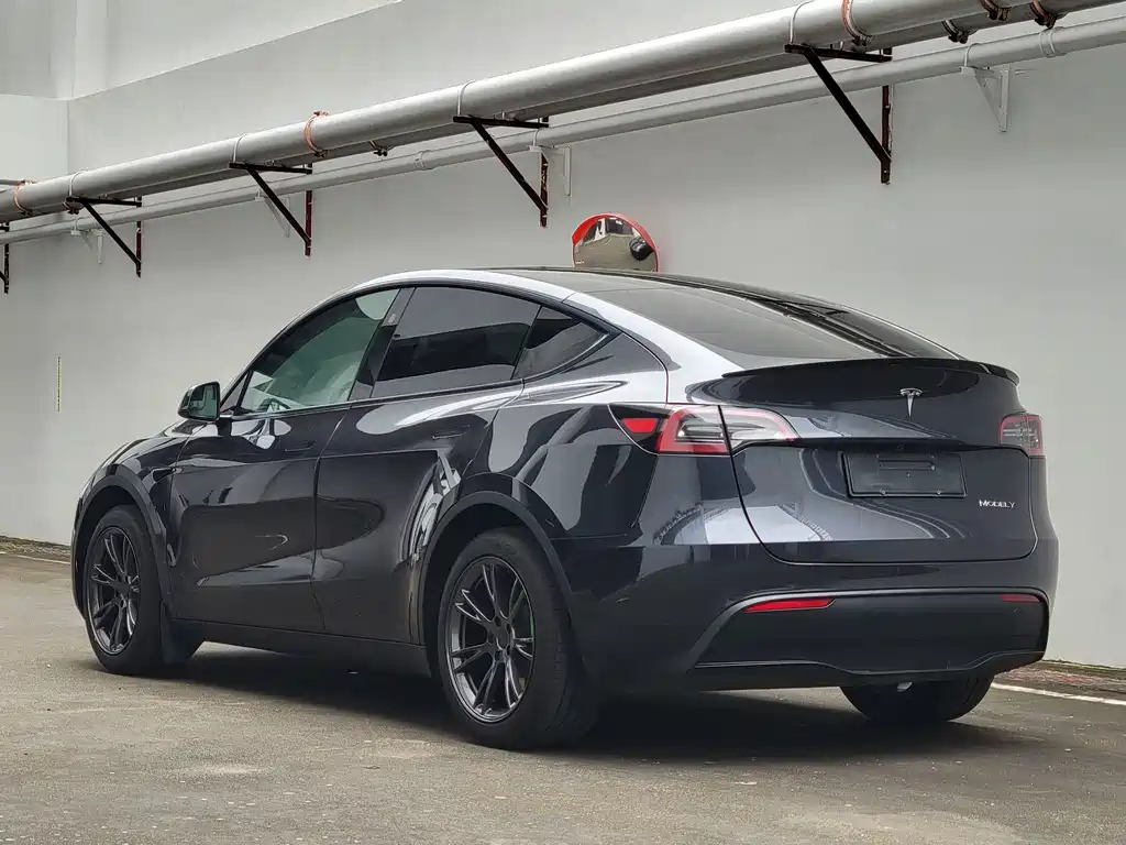 Tesla Model Y — миниатюра 15
