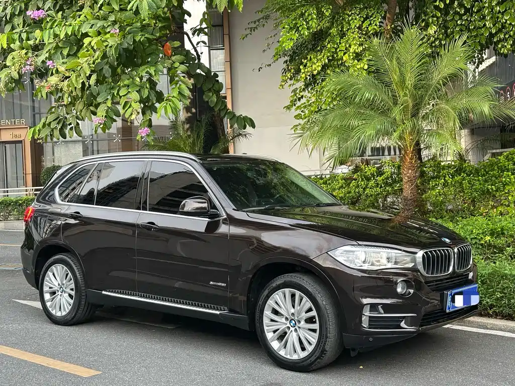 BMW X5 (Import) — миниатюра 3