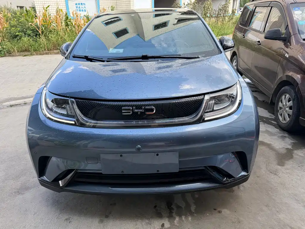 BYD Dolphin — миниатюра 2