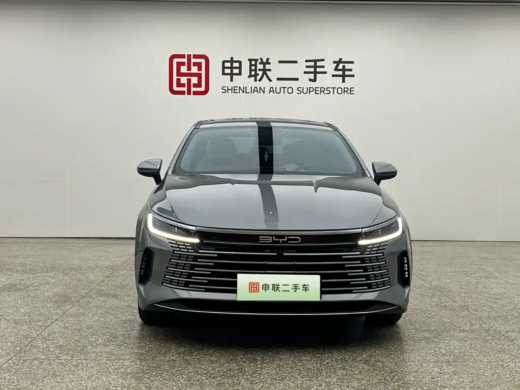 BYD Destroyer 05 — миниатюра 3