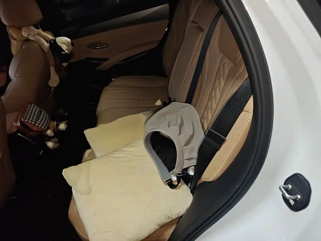 BYD L DM-i — миниатюра 15