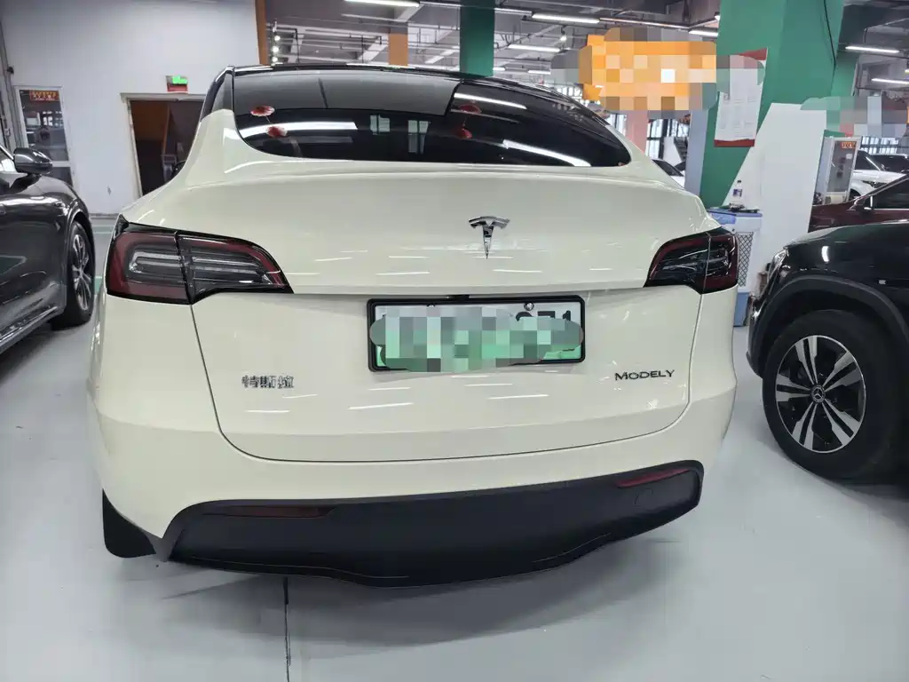Tesla Model Y — миниатюра 10