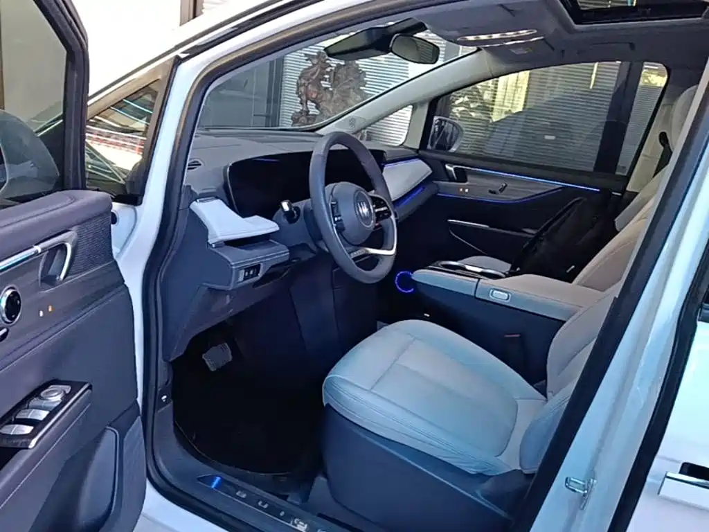 Buick GL8 — миниатюра 16