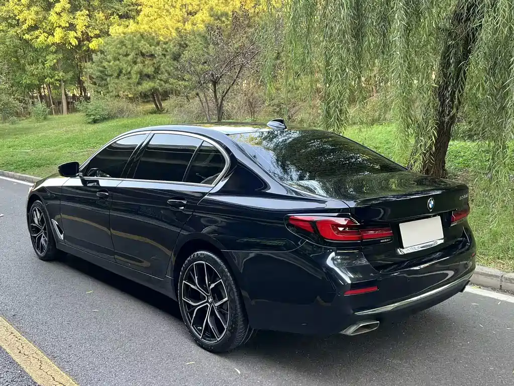 BMW 5 Series — миниатюра 4
