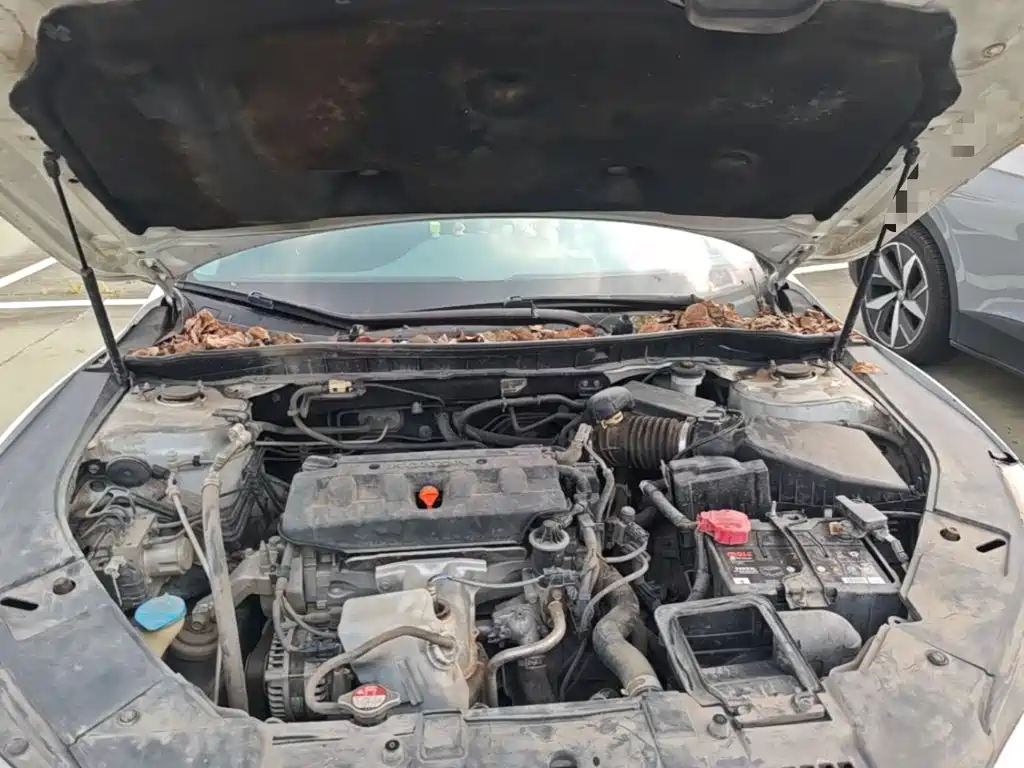 Honda Accord — миниатюра 20