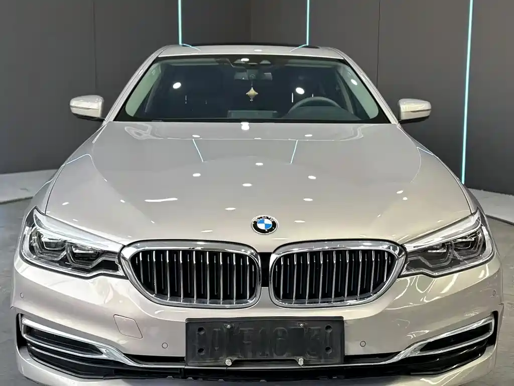 BMW 5 SERIES NEW ENERGY