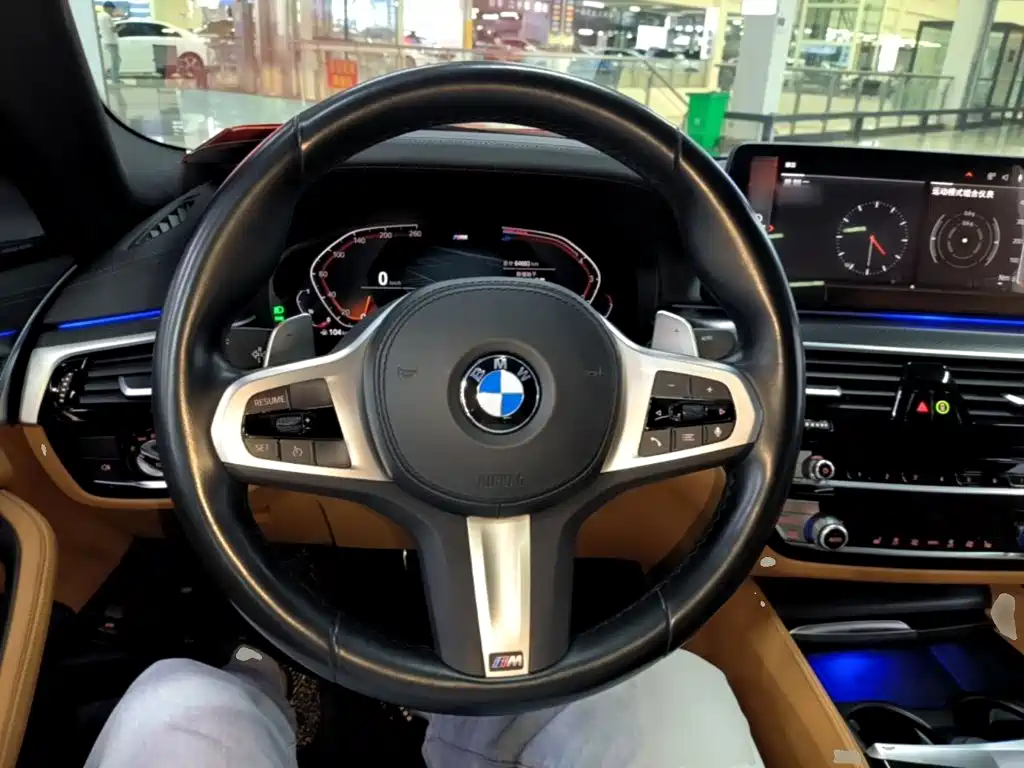 BMW 5 Series (Import) — миниатюра 11