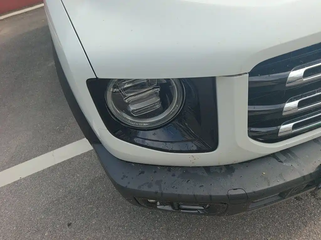 Haval Big Dog — миниатюра 7