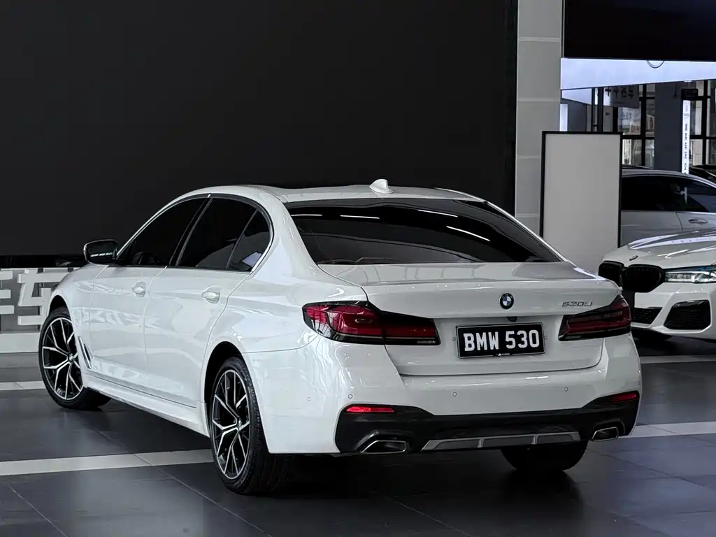 BMW 5 Series — миниатюра 4