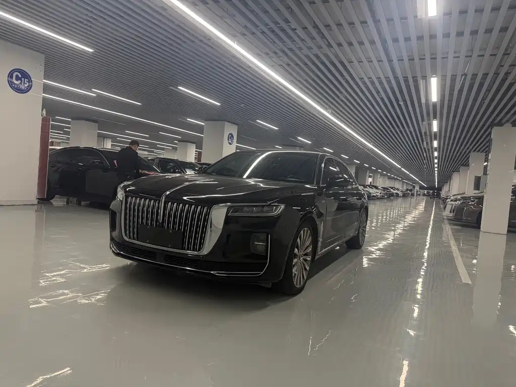 Hongqi Hongqi H9 2021